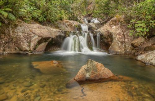 Tapu Bed & Breakfast | Rapaura Watergardens