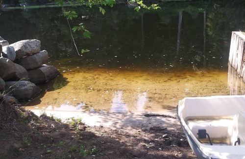 Tupper Lake RV Rental | Raquette River TENT, Camping site 11