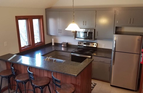 Roseland Condo | RARE 3B/2B Mountain Top Condo Walk to the Slopes and Resturants! Slope Views!