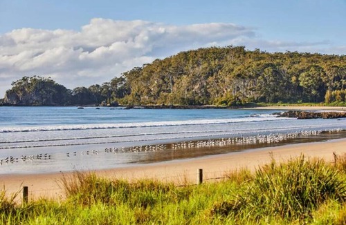 Mossy Point House | Rare Broulee beachfront house