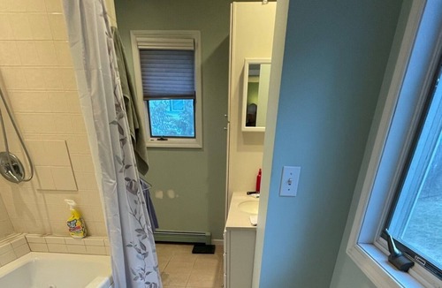 Indian River Cottage | Rare Find - Burt Lake home with sunset views