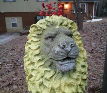 Lithia Springs Apartment | Rasta House Fantasy