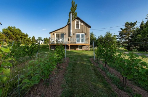 Wolfville Apartment | Raven Hill Vineyard Lower Suite