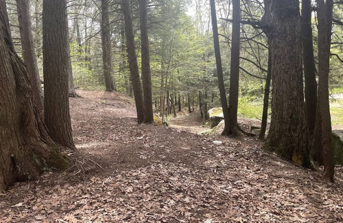 Woodridge RV Rental | Raw Camping.