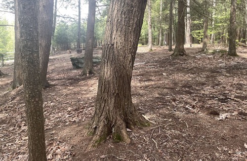 Woodridge RV Rental | Raw Camping.