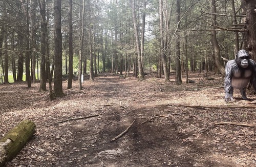 Woodridge RV Rental | Raw Camping.