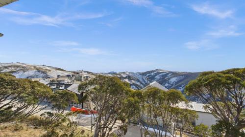 Hotham Heights Apartment | Razorback 3