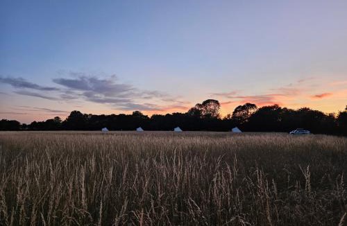Howlett End Other | Readers Field Glamping
