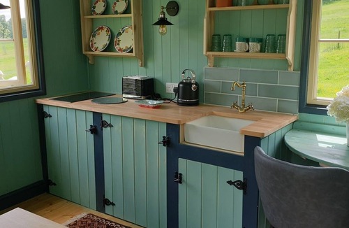 Frampton Cabin | REALLY luxurious new shepherd's hut, overlooking our alpacas!