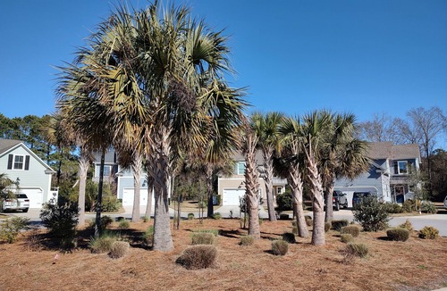Palmetto Dunes House | Recently Built House! Pets Stay Free! Close to Amenities - nSTR Permit #029405