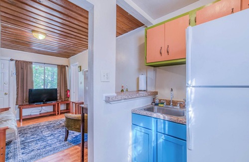 Ruidoso Apartment | RECHARGE, Pets Welcome, Fast Wifi, Opt HOT TUB