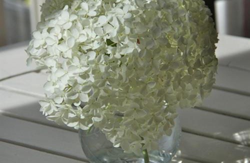 Castle Bytham Bed & Breakfast | Rectory Farm Annexe