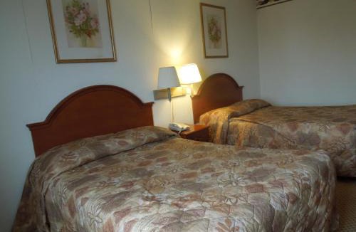 Bushwick Hotel | Red Carpet Inn Brooklyn