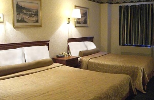 Williamstown Hotel | Red Carpet Inn Williamstown