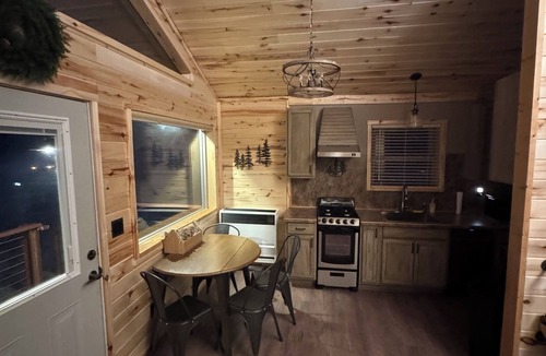 Antonito Cabin | Red Iron Cabin-Cozy 1 bedroom Cabin surrounded by National Forest.