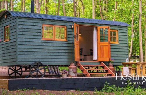 Maidensgrove Apartment | Red Kite Retreat - Allium - Shepherds Hut 2