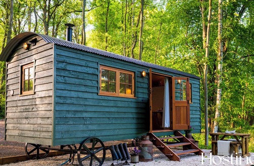 Maidensgrove Apartment | Red Kite Retreat - Allium - Shepherds Hut 2