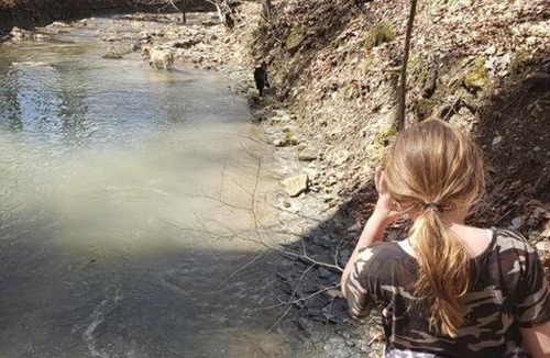 Stanton House | Red River Gorge Creekside, New*Spacious *2 baths!