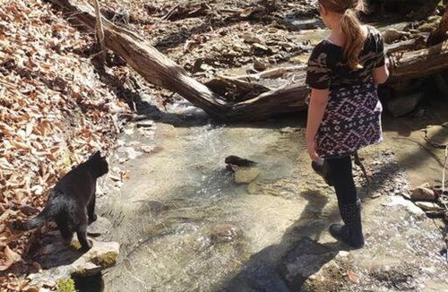 Stanton House | Red River Gorge Creekside, New*Spacious *2 baths!