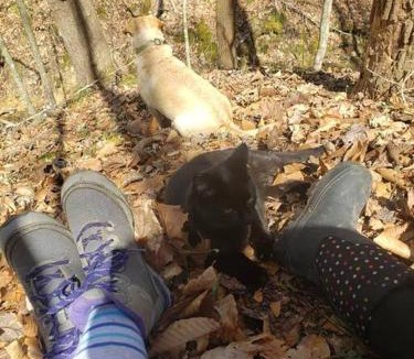 Stanton House | Red River Gorge Creekside, New*Spacious *2 baths!