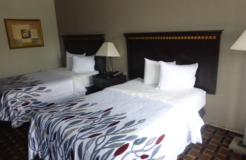 Evergreen Hotel | Red Roof Inn Evergreen