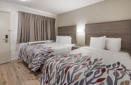 Fort Worth Hotel | Red Roof Inn Fort Worth South