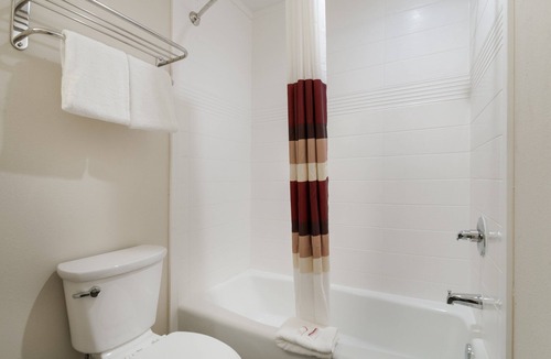 Spring Hotel | Red Roof Inn Houston – Spring North