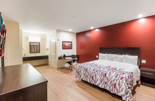 Barker Hotel | Red Roof Inn Houston - Willowbrook