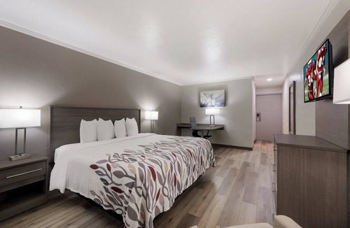 Madisonville Hotel | Red Roof Inn Madisonville