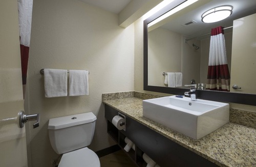 Addicks Hotel | Red Roof Inn PLUS+ Houston - Energy Corridor