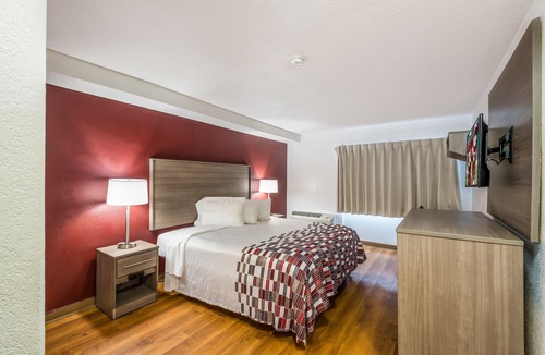 Rochester Hotel | Red Roof Inn Rochester – Airport