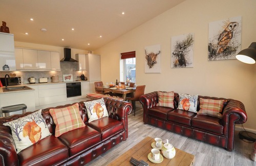 Dornoch Cottage | Red Squirrel