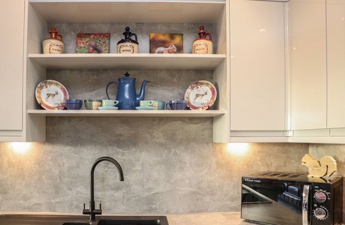 Dornoch Cottage | Red Squirrel