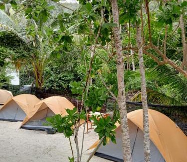 Redang Island Other | Redang Campstay