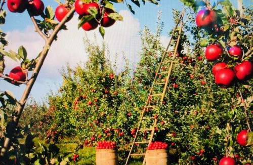 Redding Ridge House | Redding Retreat with Pool