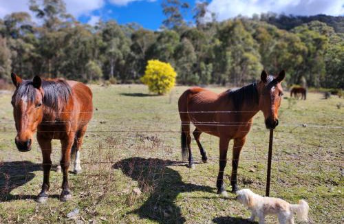 Hartley House | Redgate Homestead