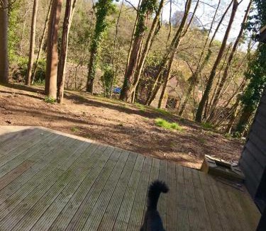 Farnham House | Redhill Lodge