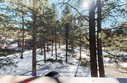 Angel Fire House | Redwood Commons B12