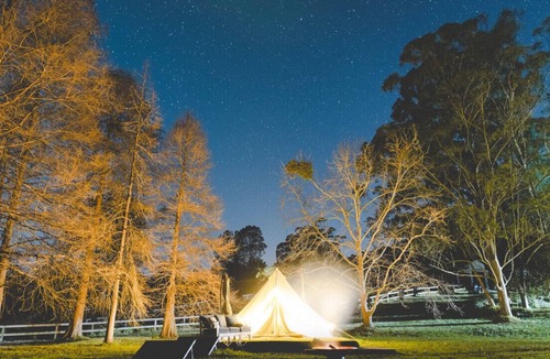 Lemon Tree RV Rental | Redwood Glamping Tent