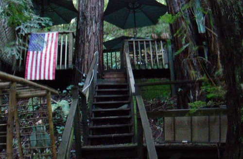 Felton Cabin | Redwood Mountain Hideaway in Felton near Lake + Santa Cruz