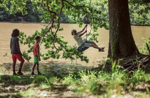 Haslemere House | Redwood - the BIG yurt