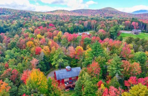 Stowe Area House | Redwood