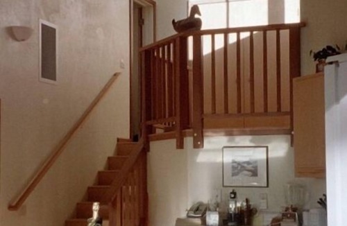 Timber Cove House | Redwoods. Ocean. Escape.