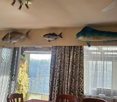 Rotorua House | Redwoods Spa Hayven, MTB