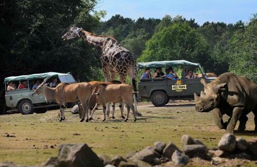 Ebeltoft House | Ree Park Safari