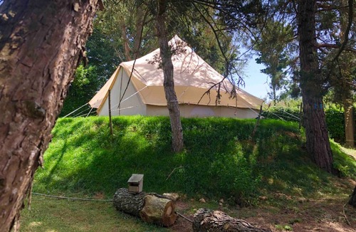 Auchay-sur-Vendee Cabin | Refuge de Campagne "Bivouac les pins
