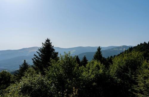 Metzeral House | Refuge Mil100 Chalet-spa Luxe 5