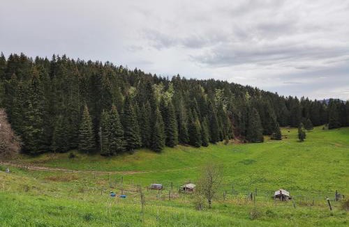 Les Moussieres Apartment | Refuge Sous La Joux