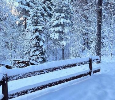 Colmars Ski Chalet | Refuge-style chalet Mountain view