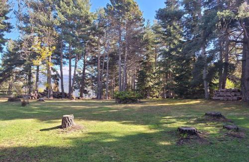 La Molina Apartment | refugio en el bosque